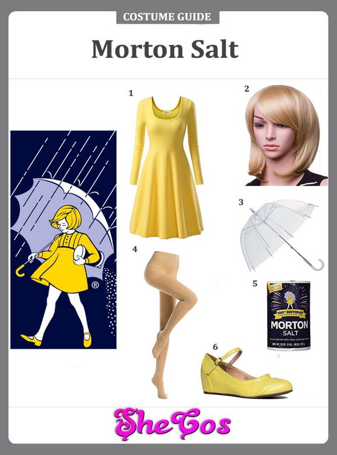 morton salt costume ideas