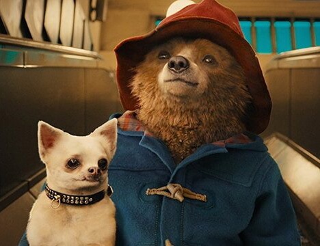 paddington costume