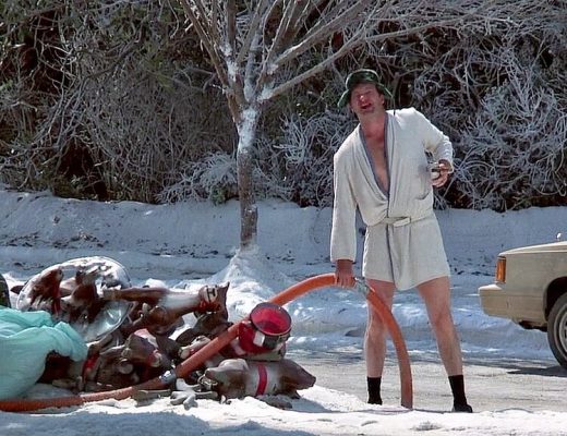 cousin eddie costume