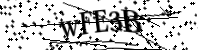 Please type the letters below