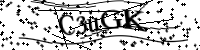 Please type the letters below