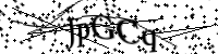 Please type the letters below