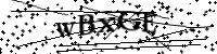Please type the letters below