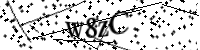 Please type the letters below
