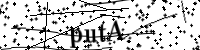 Please type the letters below