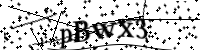 Please type the letters below