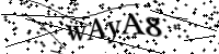 Please type the letters below