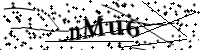 Please type the letters below