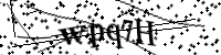 Please type the letters below