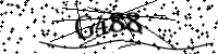 Please type the letters below
