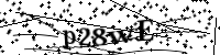 Please type the letters below