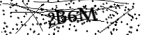 Please type the letters below