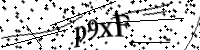 Please type the letters below