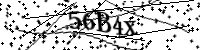 Please type the letters below