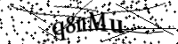 Please type the letters below