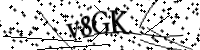 Please type the letters below