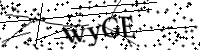 Please type the letters below