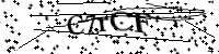 Please type the letters below