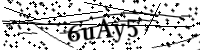 Please type the letters below