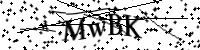 Please type the letters below