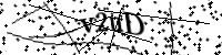 Please type the letters below