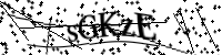 Please type the letters below