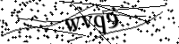 Please type the letters below