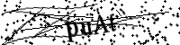 Please type the letters below