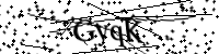 Please type the letters below