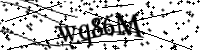 Please type the letters below