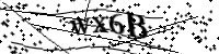 Please type the letters below