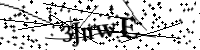 Please type the letters below