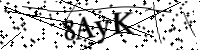 Please type the letters below