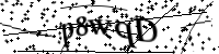 Please type the letters below