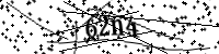 Please type the letters below