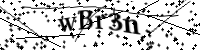 Please type the letters below