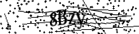 Please type the letters below