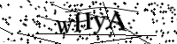 Please type the letters below