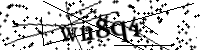 Please type the letters below
