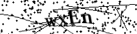 Please type the letters below