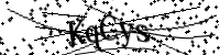 Please type the letters below
