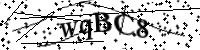 Please type the letters below