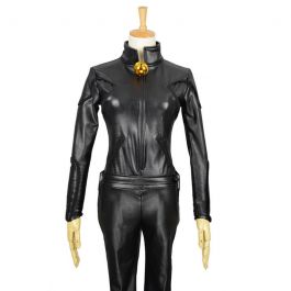 Chat noir cosplay  Cat noir costume, Best cosplay, Noir
