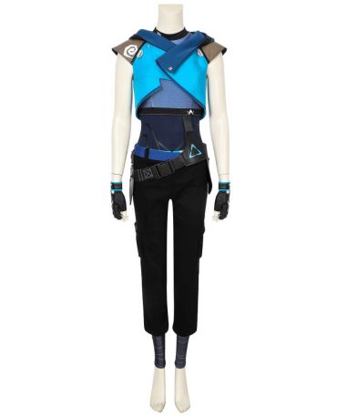 cat noir costume