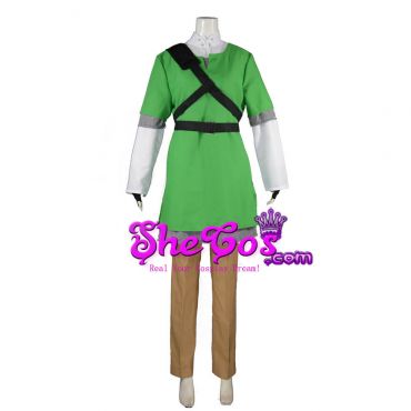 Link costume skyward sword